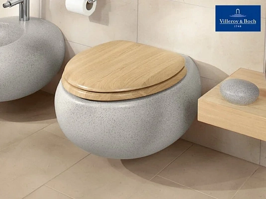 Подвесной унитаз Villeroy&Boch Pure Stone 5670 10